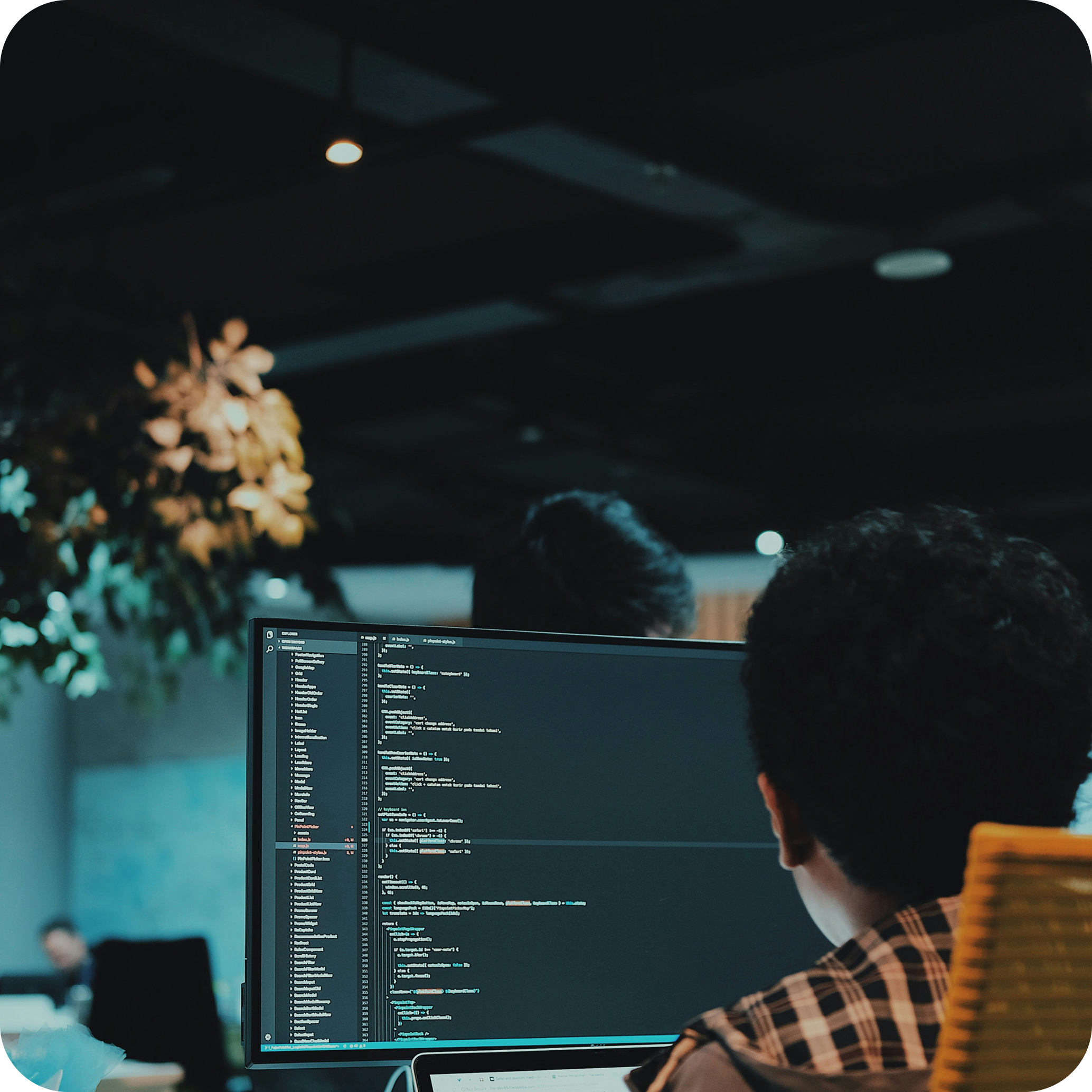 Programmer